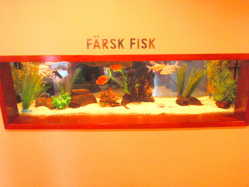 Fresh [water] Fish - Färsk Fisk.